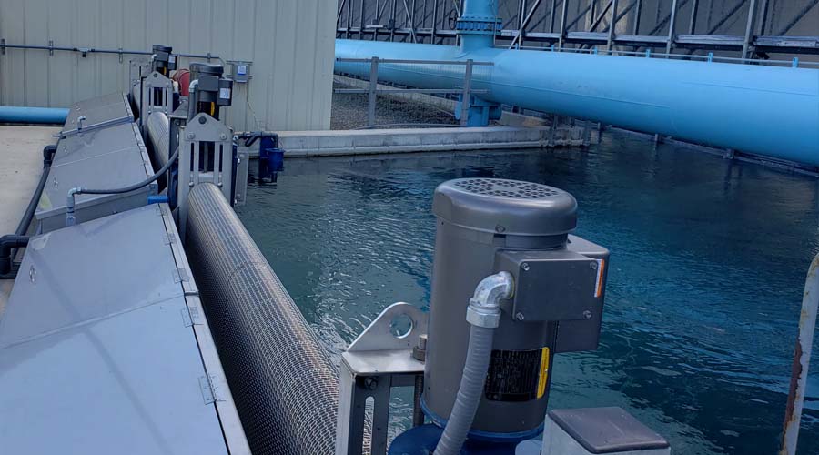 Cooling Tower Basin Pump Area