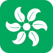 Green Energy Icon